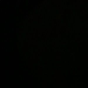 Meet your Posher, Ellen